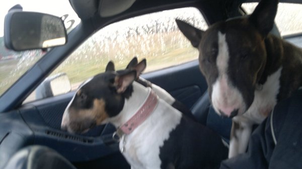 Met zijn vieren in onze 32 jaar oude sportauto