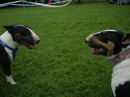 Admiring each other... hahaha!