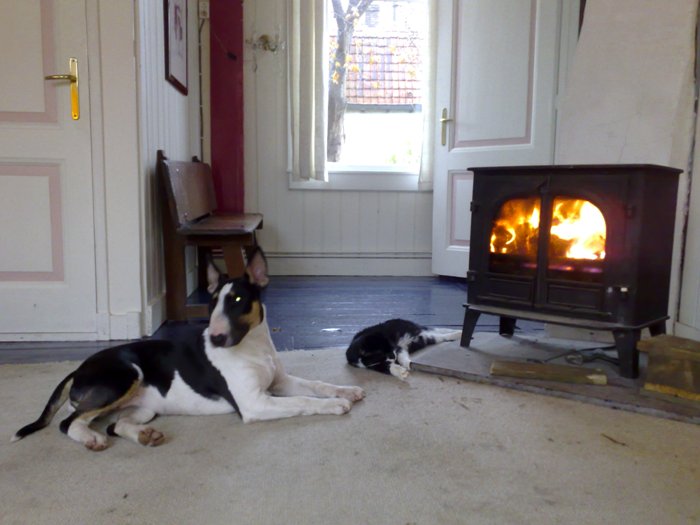 Let op het stopcontact op 1,80 meter: erg mooi in een 300 jaar oud huis. Dankjewel Gladys ;---)