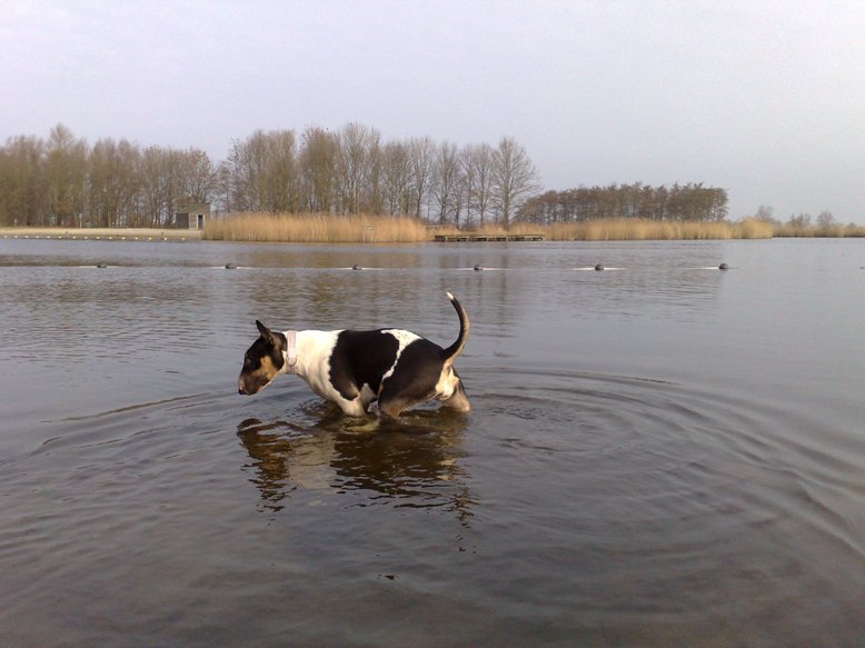 Pootje baden gaat steeds dieper