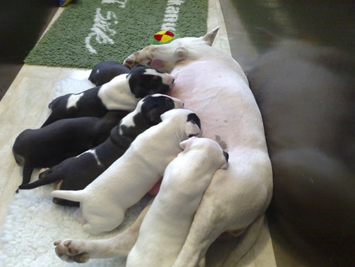 Gladys met haar broertje en zusjes bij mama Daisy