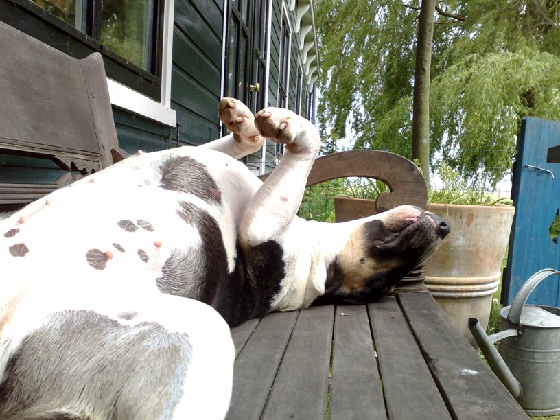 Languit zonnen, haha!