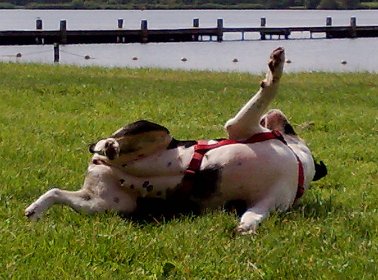 25 juli: lekker rollen