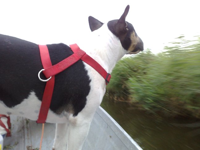 29 juli: volgas in ons bootje