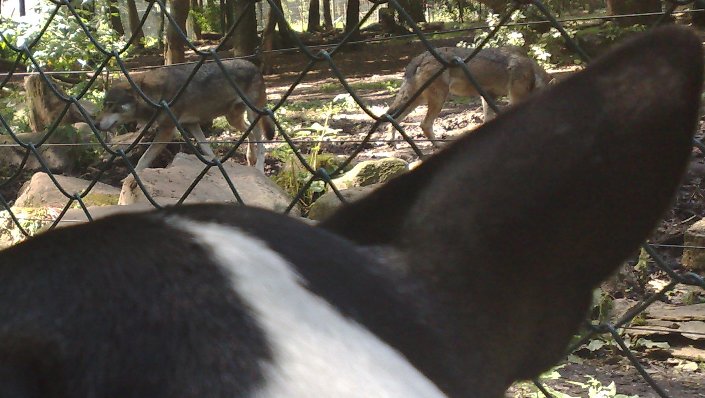 Klik aub op de foto voor de slideshow