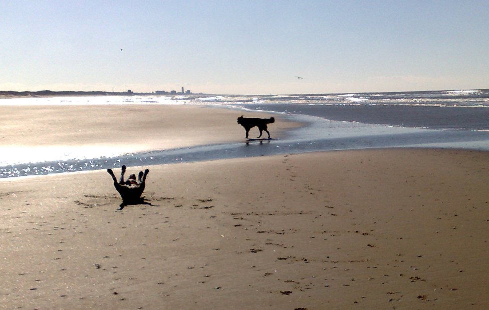 Met Woody van Mirjam naar het strand