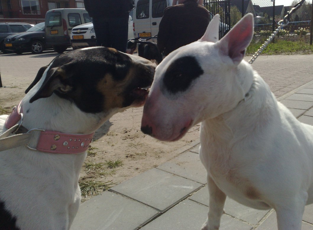 Gladys & Nelson fluisteren elkaar iets toe...