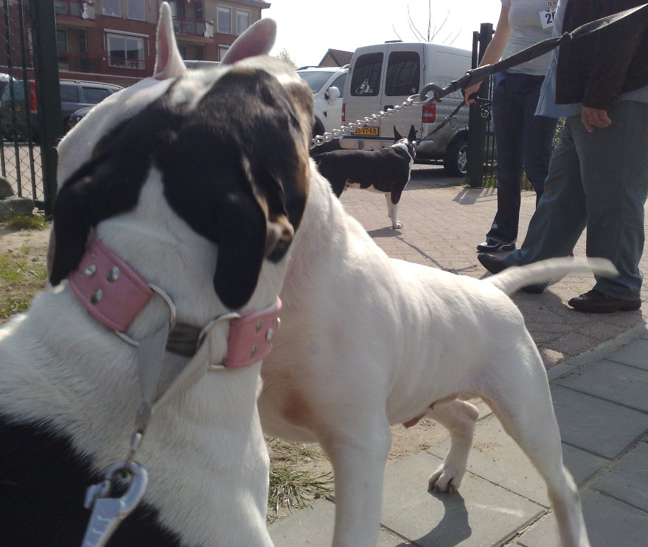 Gladys & Nelson: innige omhelzing