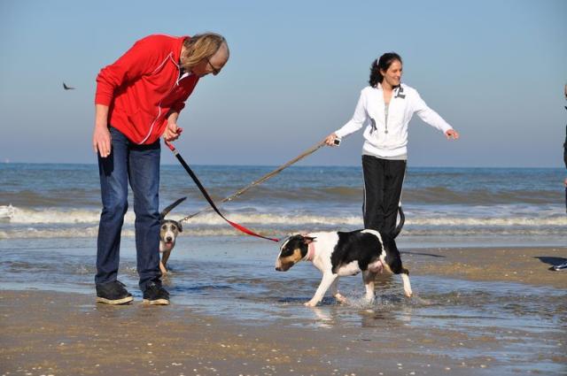 Allebij natte voeten...