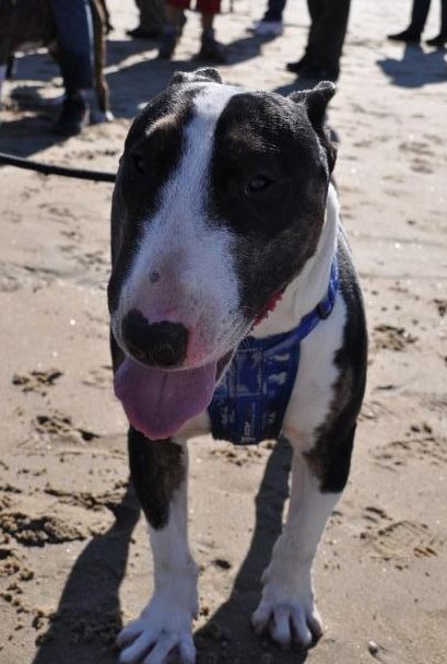 Bono van Monique en Jasper, wat is het toch een schat!