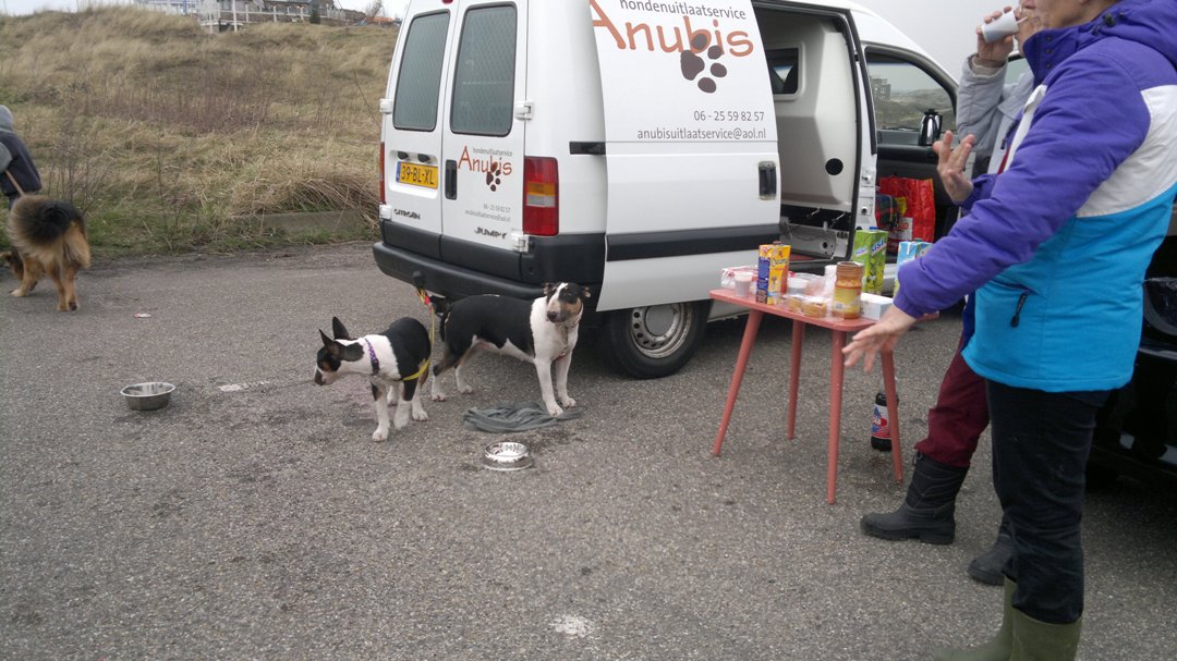 Na de wandeling een perfect verzorgde picknick!