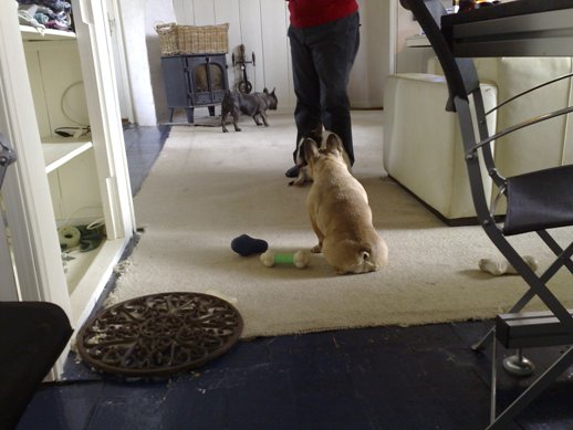 bullencircus, Gladys bij oma Cor