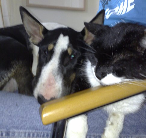 Gladys en Flint voor het 1st samen op schoot