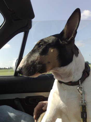 De heenreis, helaas is Davey's Kever nog in restauratie dus dan maar in de MX5, luxe problemen enzo ;---)