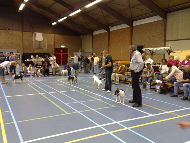 Met 3 zusjes in de ring!