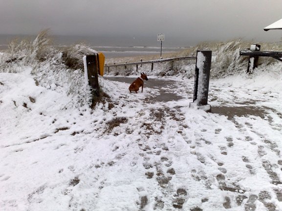 And we thought it was spring...